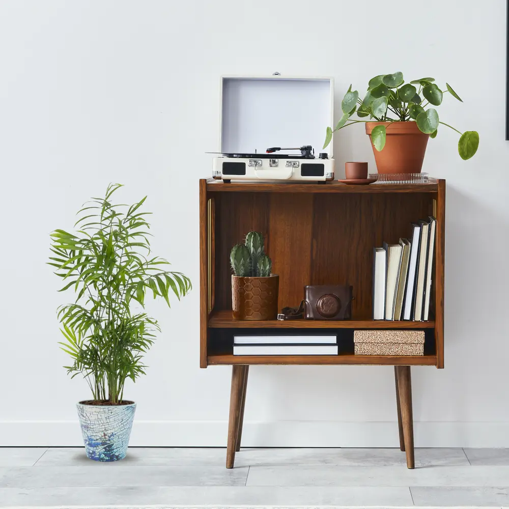 Хамедорея Элеганс от Santreyd — изящная комнатная пальма 18785678 STLM-0012719 - Вид №4