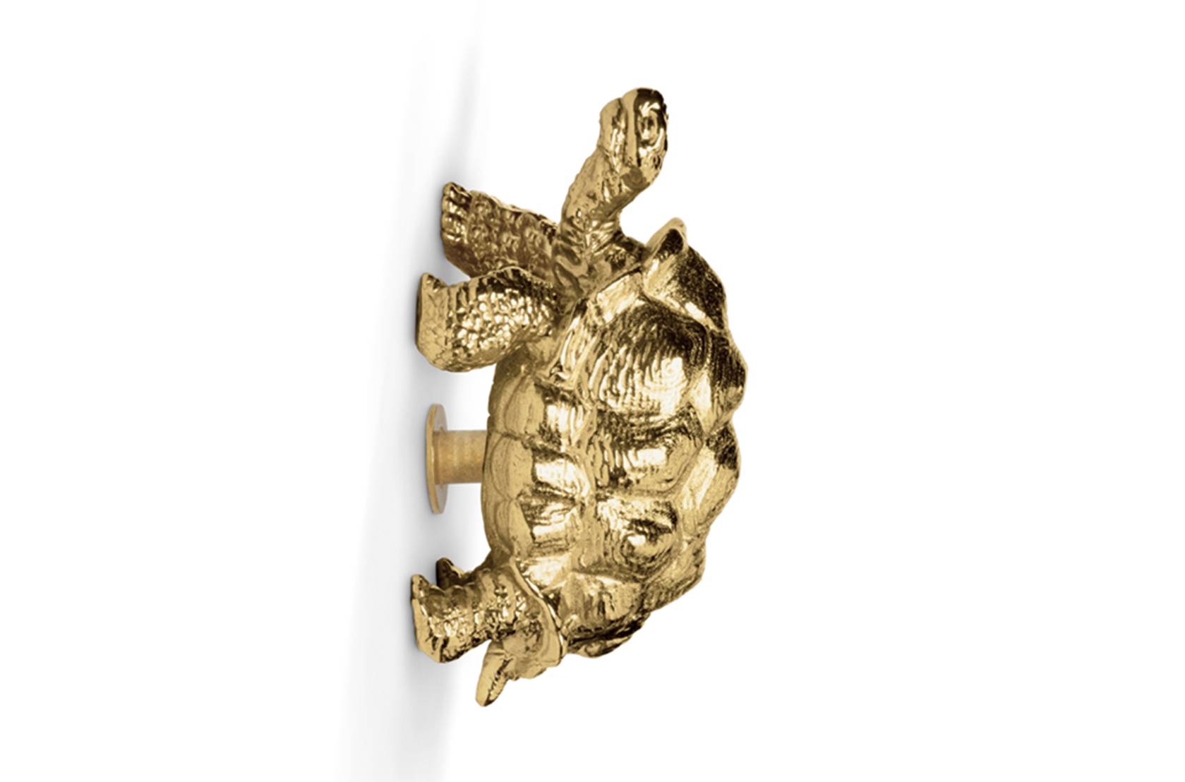 CIST830 Мебельные ручки Черепаха Circu  - Вид №2