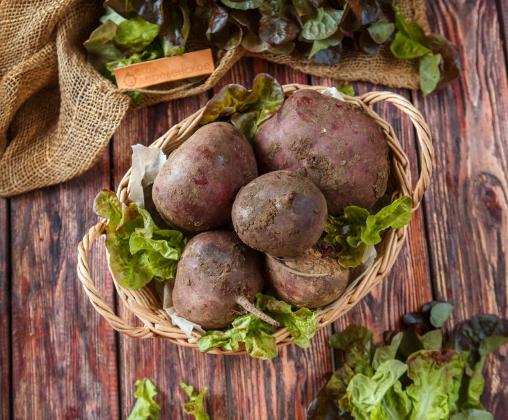 6135 Свекла Вкусляндия  - Вид №1