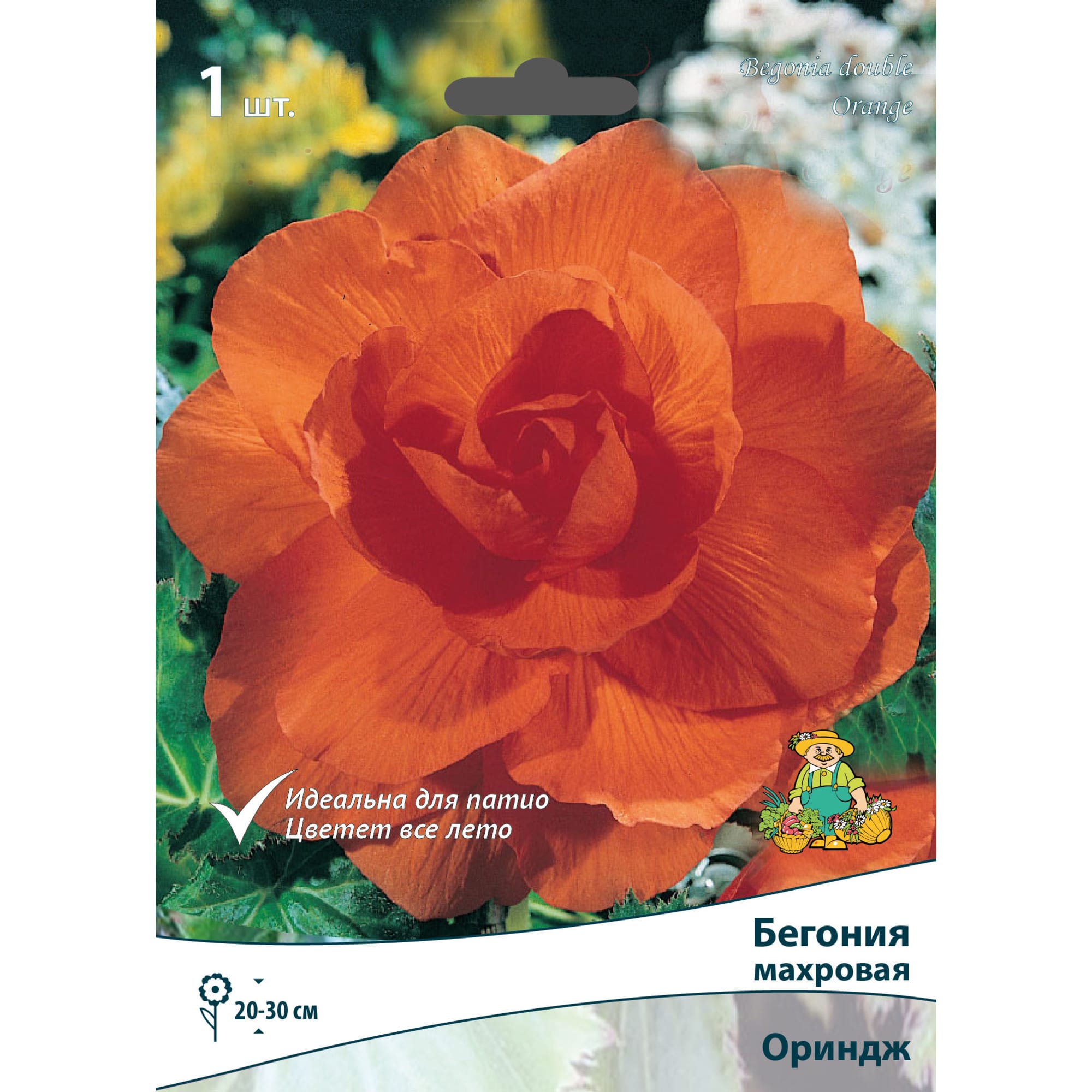 83593715 Бегония махровая Ориндж луковица 5/6 Santreyd 