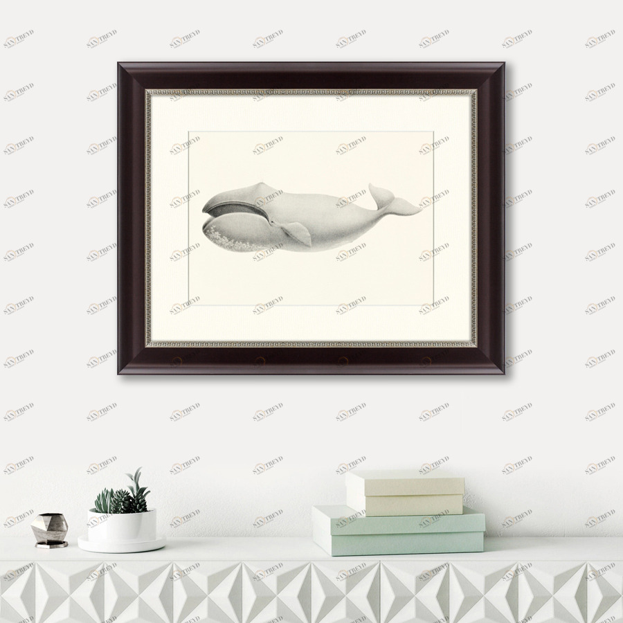 Картина: Bowhead whale (Balaena mysticetus), 1856 КАРТИНЫ В КВАРТИРУ  191742 Разноцветный 