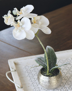 2968 799 a3 Пластиковая орхидея Phalaenopsis, матовая, горшечная, 33 см, белая матовая H-andreas