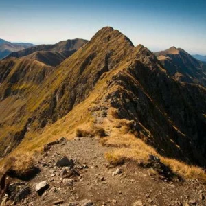 WP01900 Фотообои Verol Фотообои decoline 1х1 м