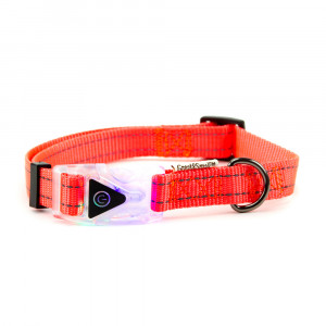 ПР0048468 Ошейник для собак со светящейся застежкой 350-450мм оранжевый Great&Small