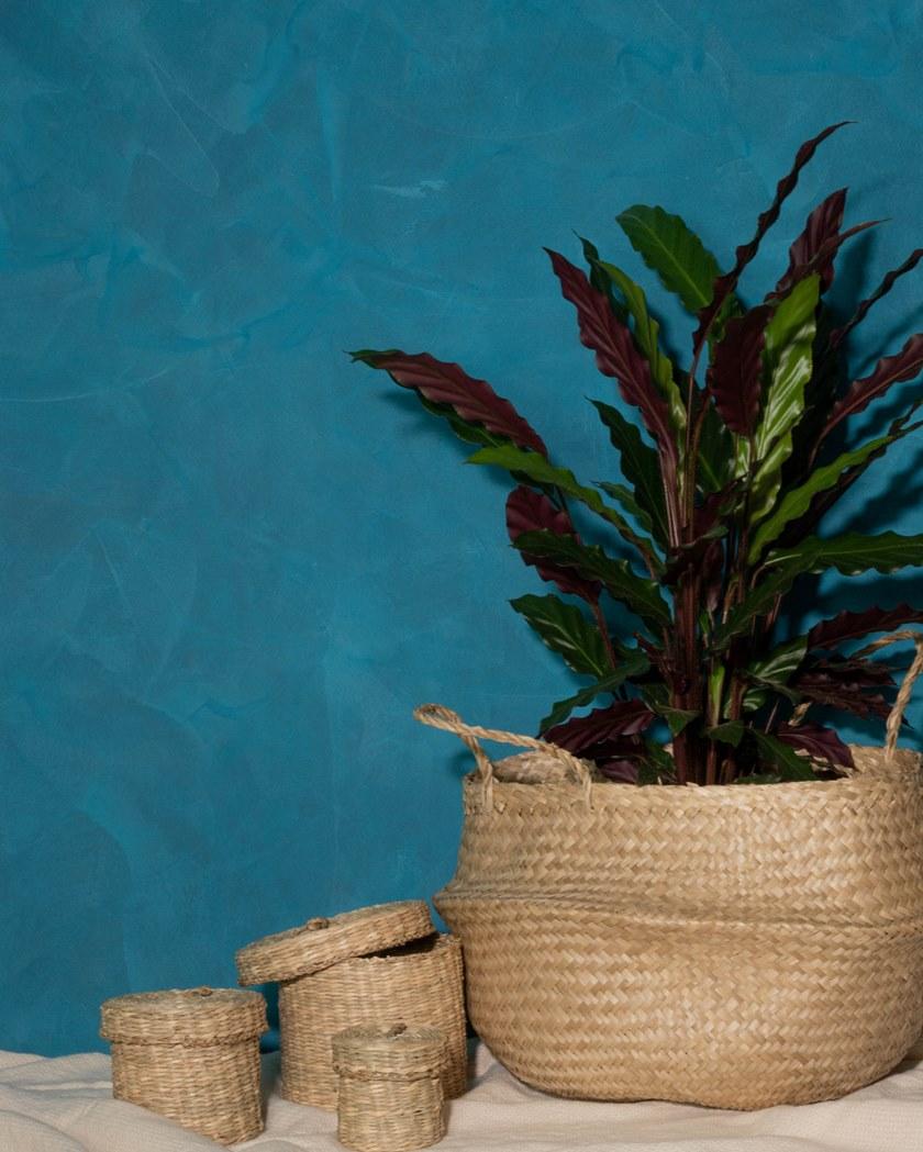 Декоративное покрытие для интерна Matt N373 Santreyd - Вид №1