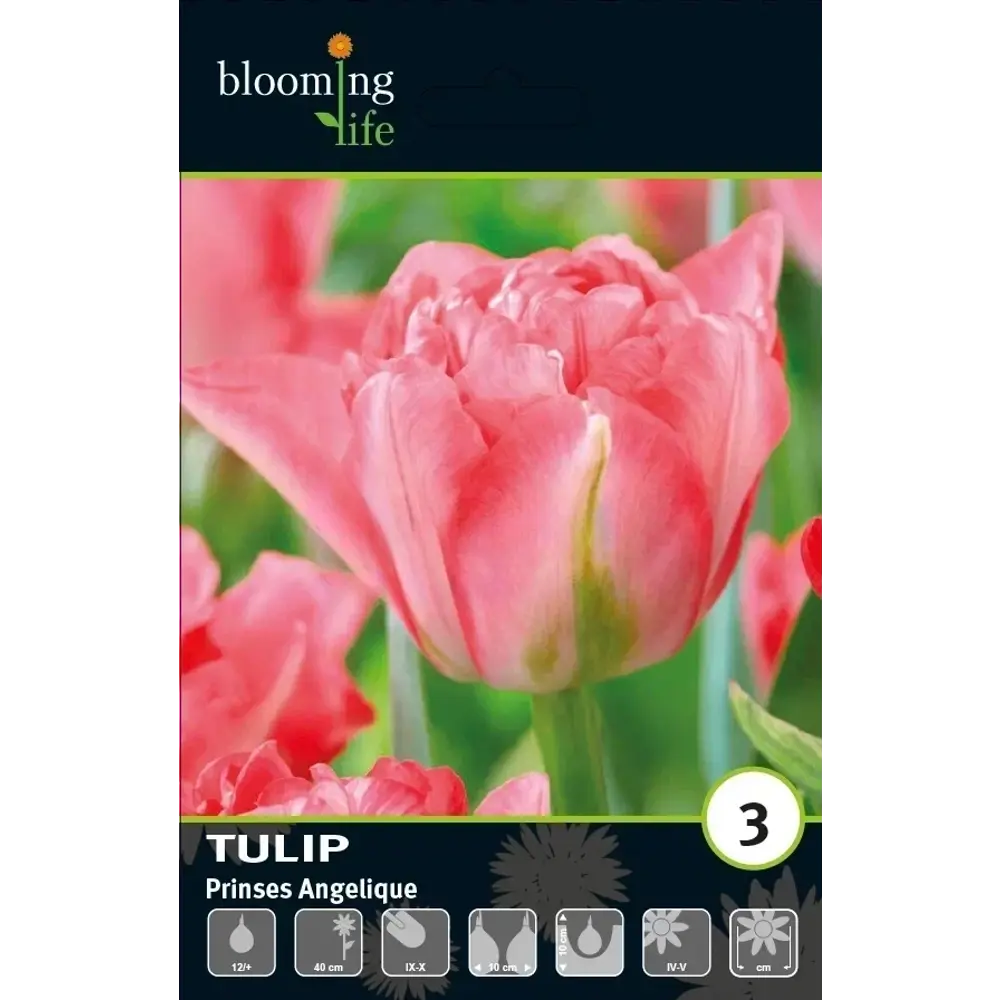 Луковицы тюльпана махрового Принцесс Анжелик 12 шт - многолетние цветущие растения 89432994 Santreyd STLM-1581947