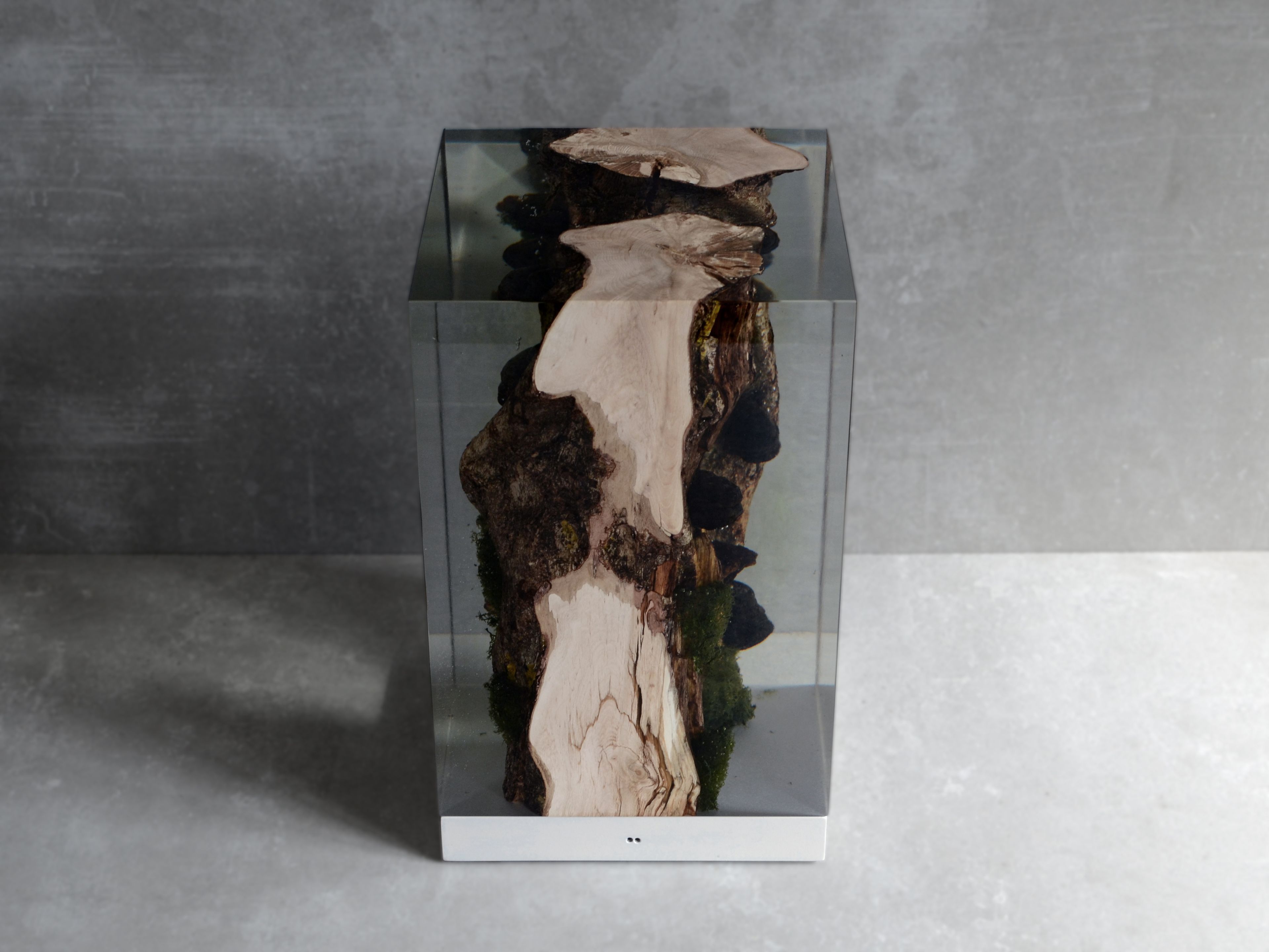 Светодиодная настольная лампа alcarol Подлесок ARCH-00036620 - Вид №1