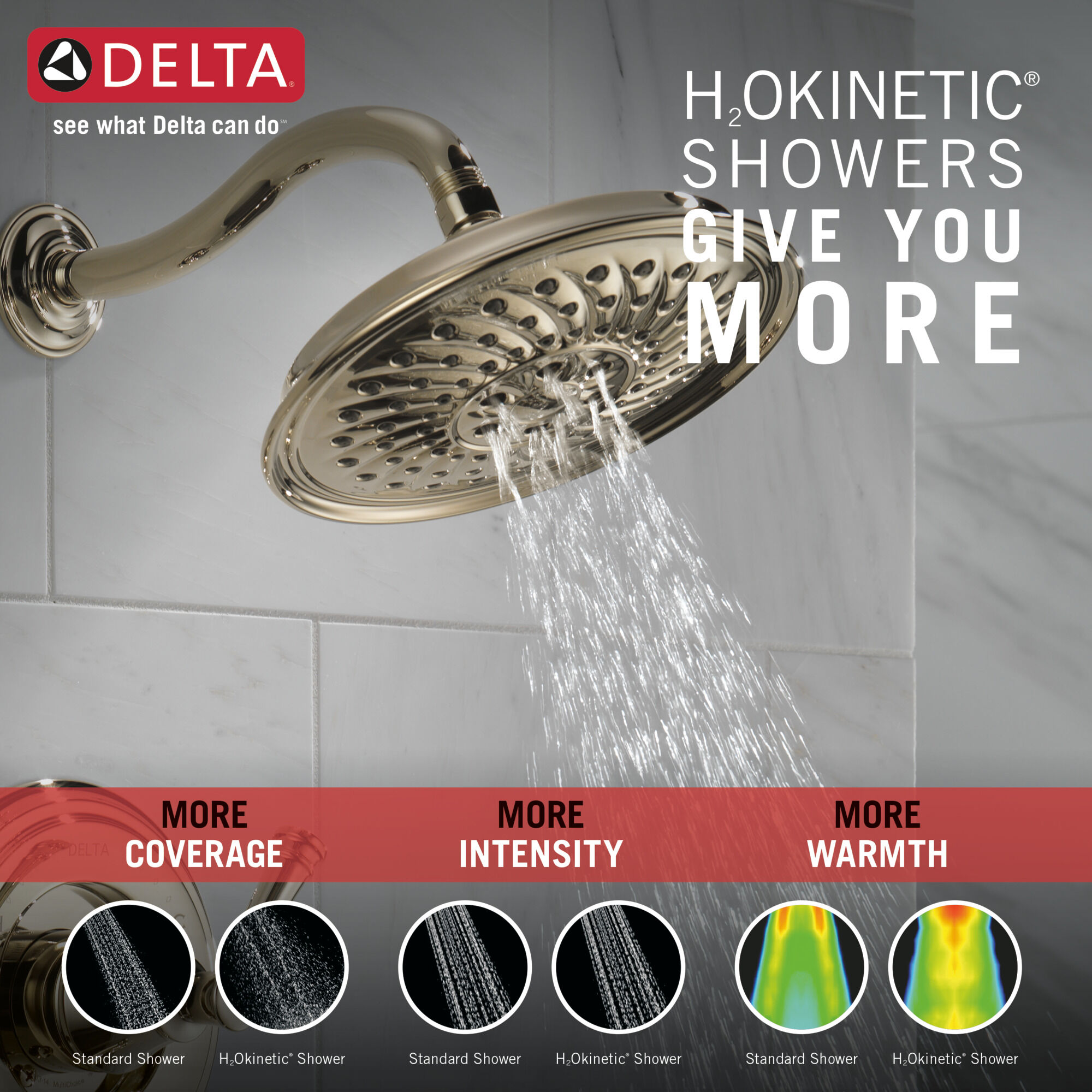 Монитор серии 14 для ванны и душа с H2Okinetics Delta Faucet 144757C-PN - Вид №1