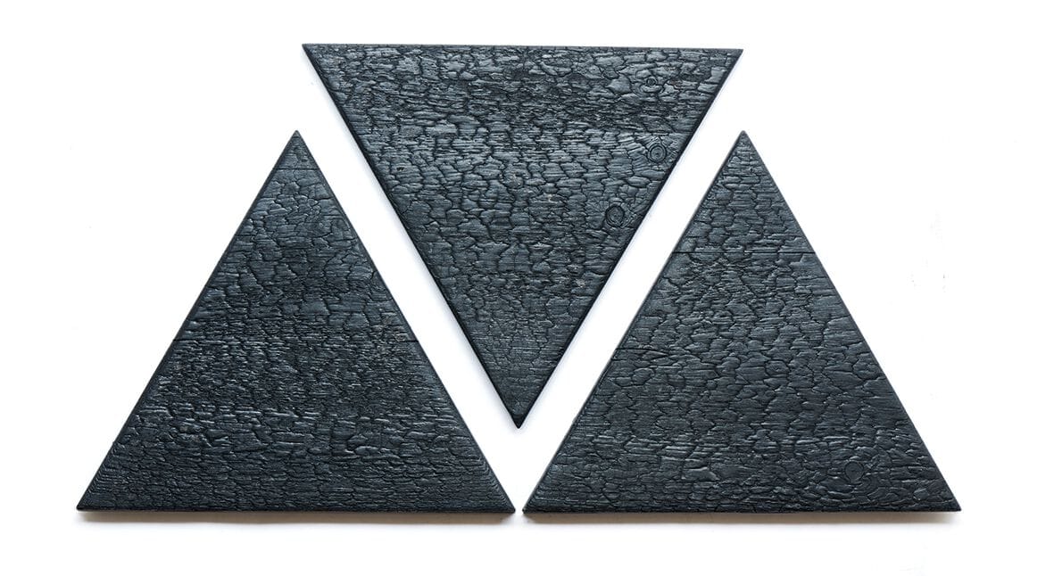 Внутренняя отделка лиственницей Sapiens ARDES ARCH-00136046 - Вид №38