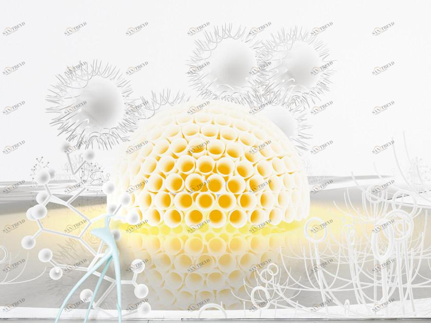 Moustache Панорамные обои на флизелиновой бумаге Domestic Ndl002 