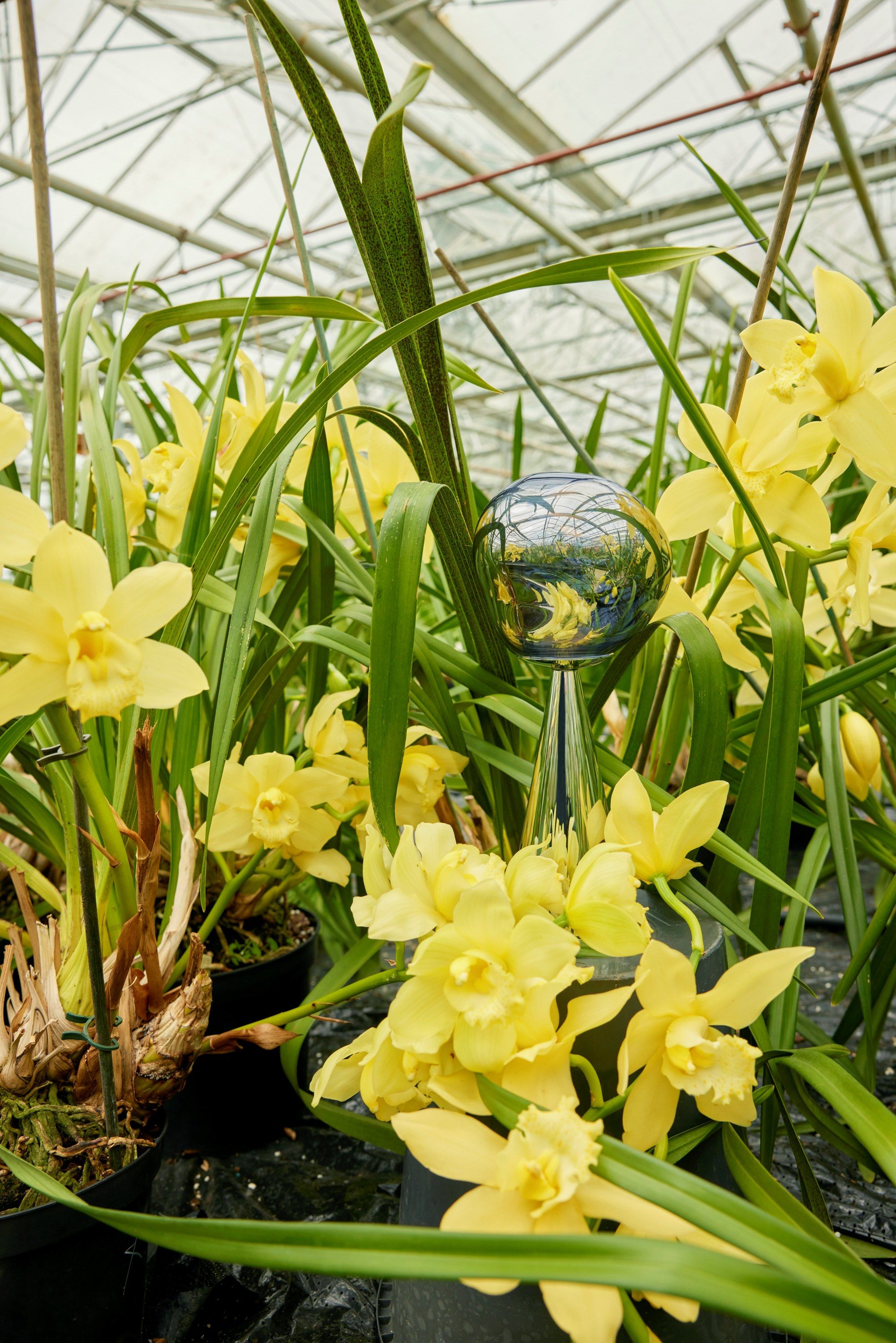 Светодиодная настольная лампа с батарейным питанием Tom Dixon Melt ARCH-00056851 - Вид №11