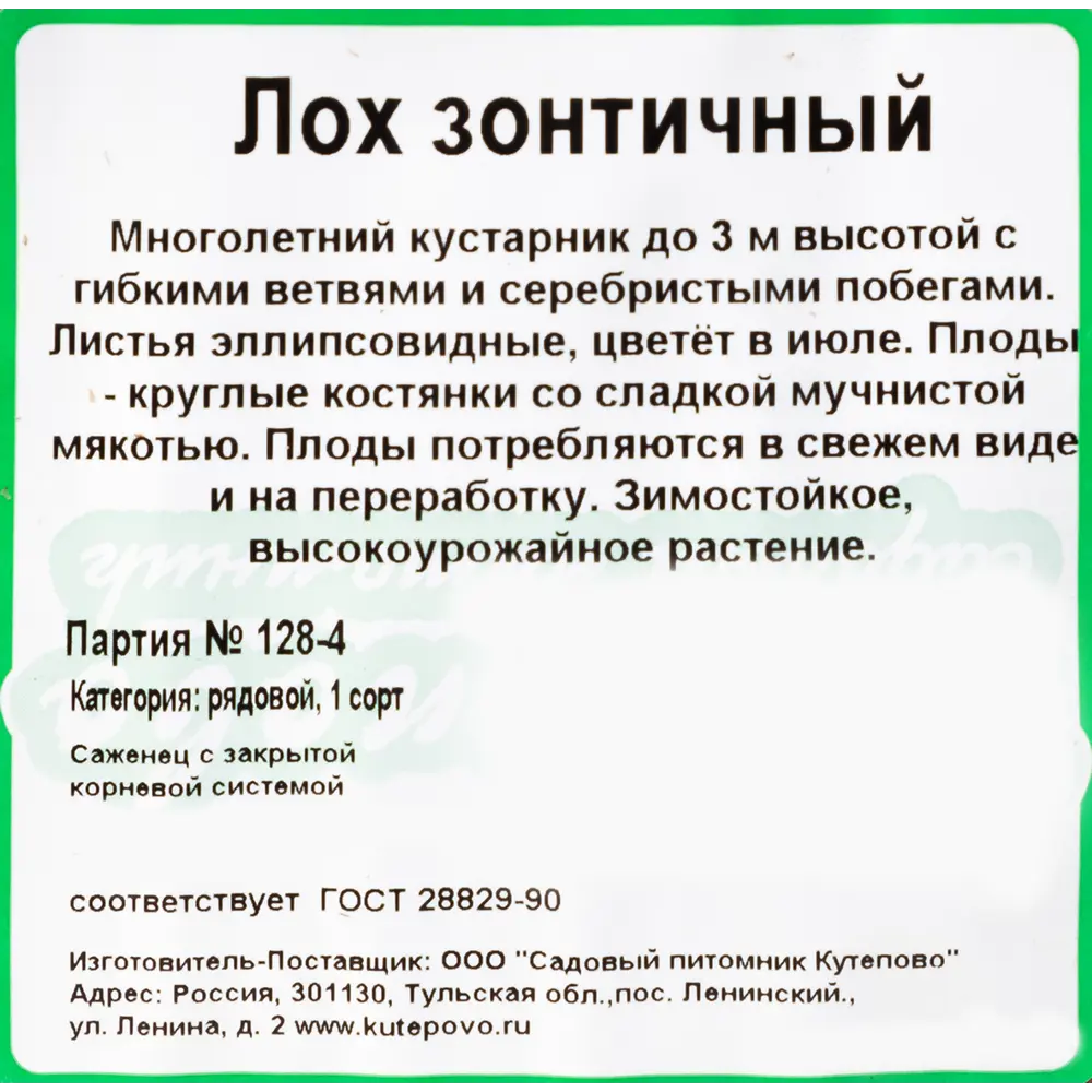 Лох зонтичный (плодовый) С2 40 см 82237800 STLM-2025408 Santreyd  - Вид №1