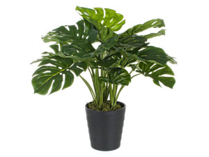 Искусственное растение