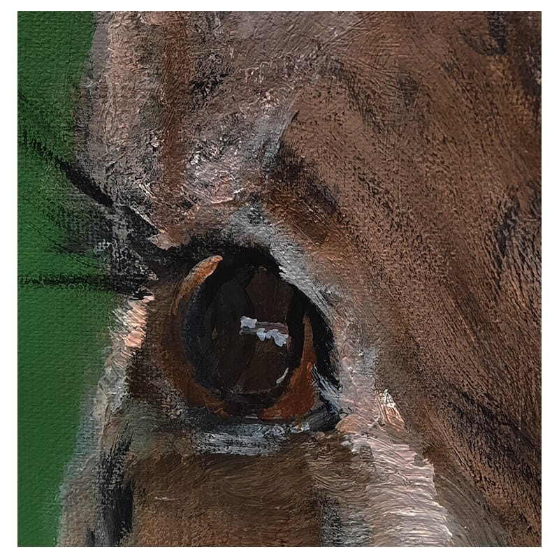 Картина ICI ET LÀ Портреты животных ARCH-00026767 - Вид №4