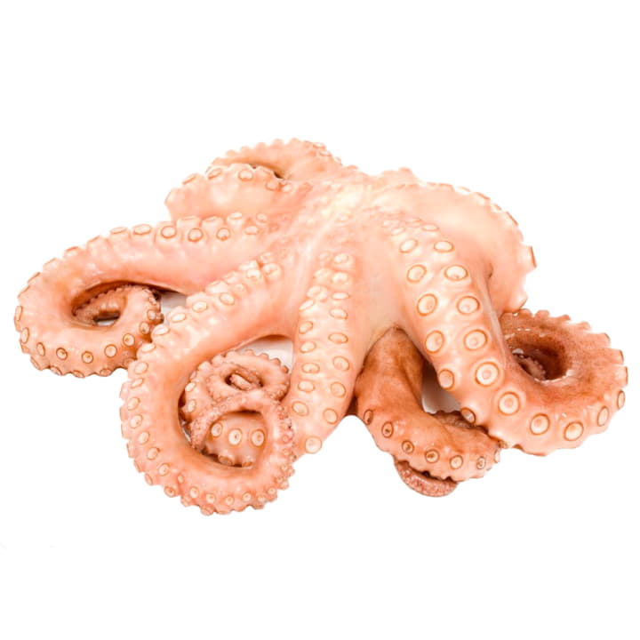 Осьминог свежемороженый 2 - 3 кг Santreyd 11789 - Вид №1