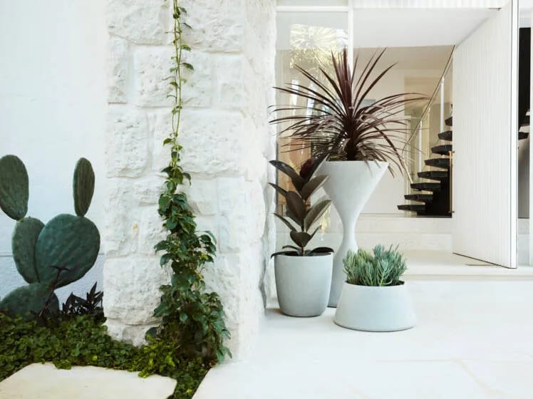 Бетонный прямоугольный низкий садовый горшок SWISSPEARL Softline ARCH-00114909 - Вид №1