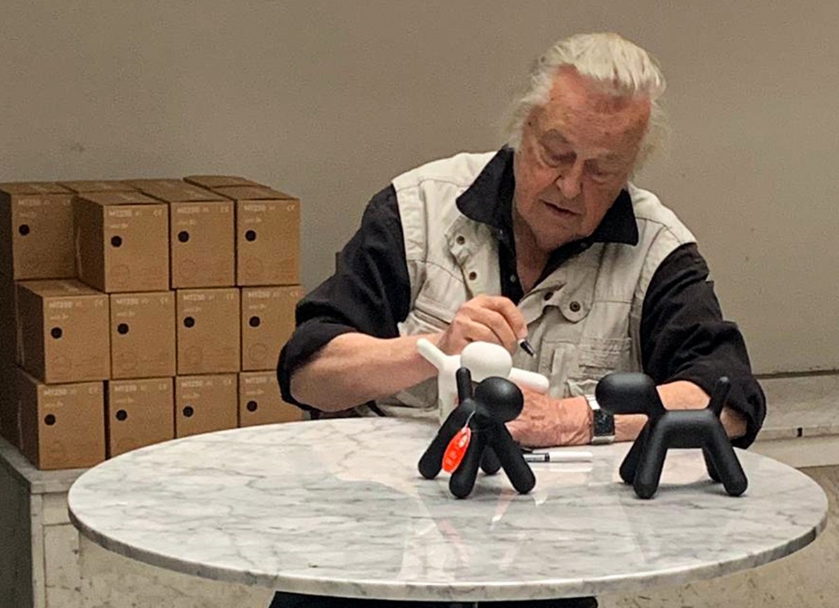 Щенок XS Magis sun-id-1328996 - Вид №8