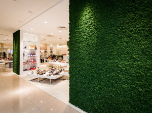 Растительная стена из мха