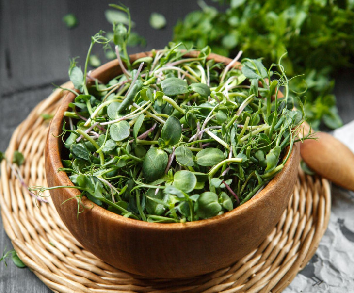 9723 Микс из микрозелени "Грин Микс" Вкусляндия 