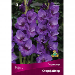 83596994 Гладиолус крупноцветковый Старфайтер луковица 12/14
