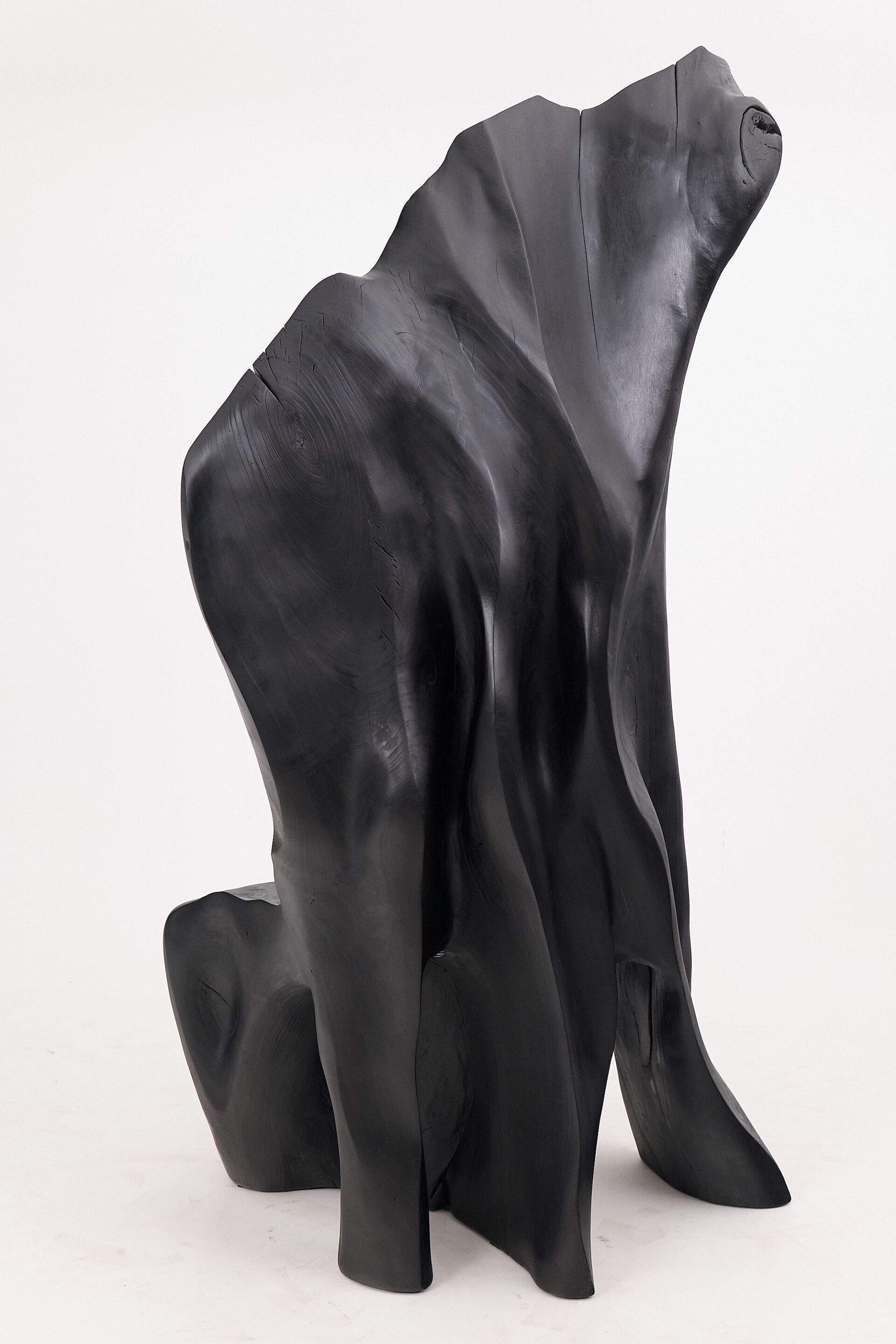 Дубовый стул Logniture XXL THRONE CHAIR ARCH-00015935 - Вид №2