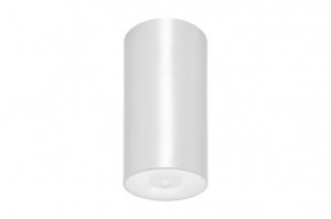 DST-61 Lens watertight ceiling-mounted Daisalux Светильники аварийные Белый