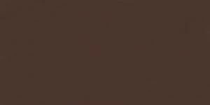 SERENA  30х60 BROWN 110 POLISHED