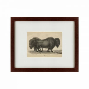 Картина в раме 52х42 см Bison, 1828 КАРТИНЫ В КВАРТИРУ  135667 Коричневый