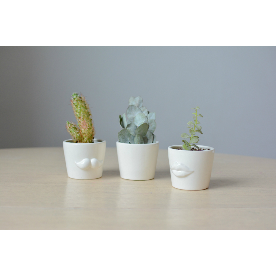 MIN-1-01 Набор для выращивания eco мини-кашпо «губы» Экочеловеки  - Вид №4