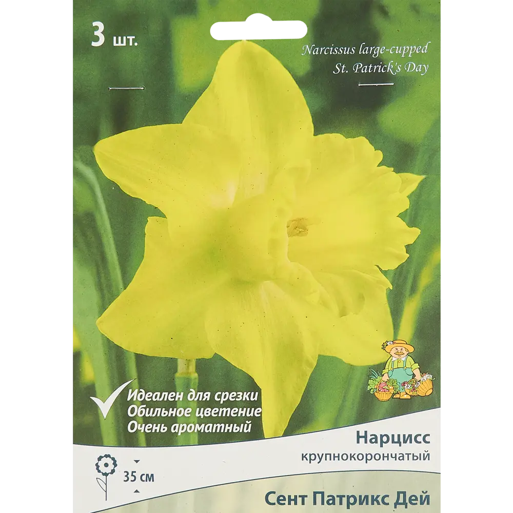 Нарцисс Сент Патрикс Дей от ПОИСК - солнечные луковицы для весеннего сада 85186016 STLM-1576911