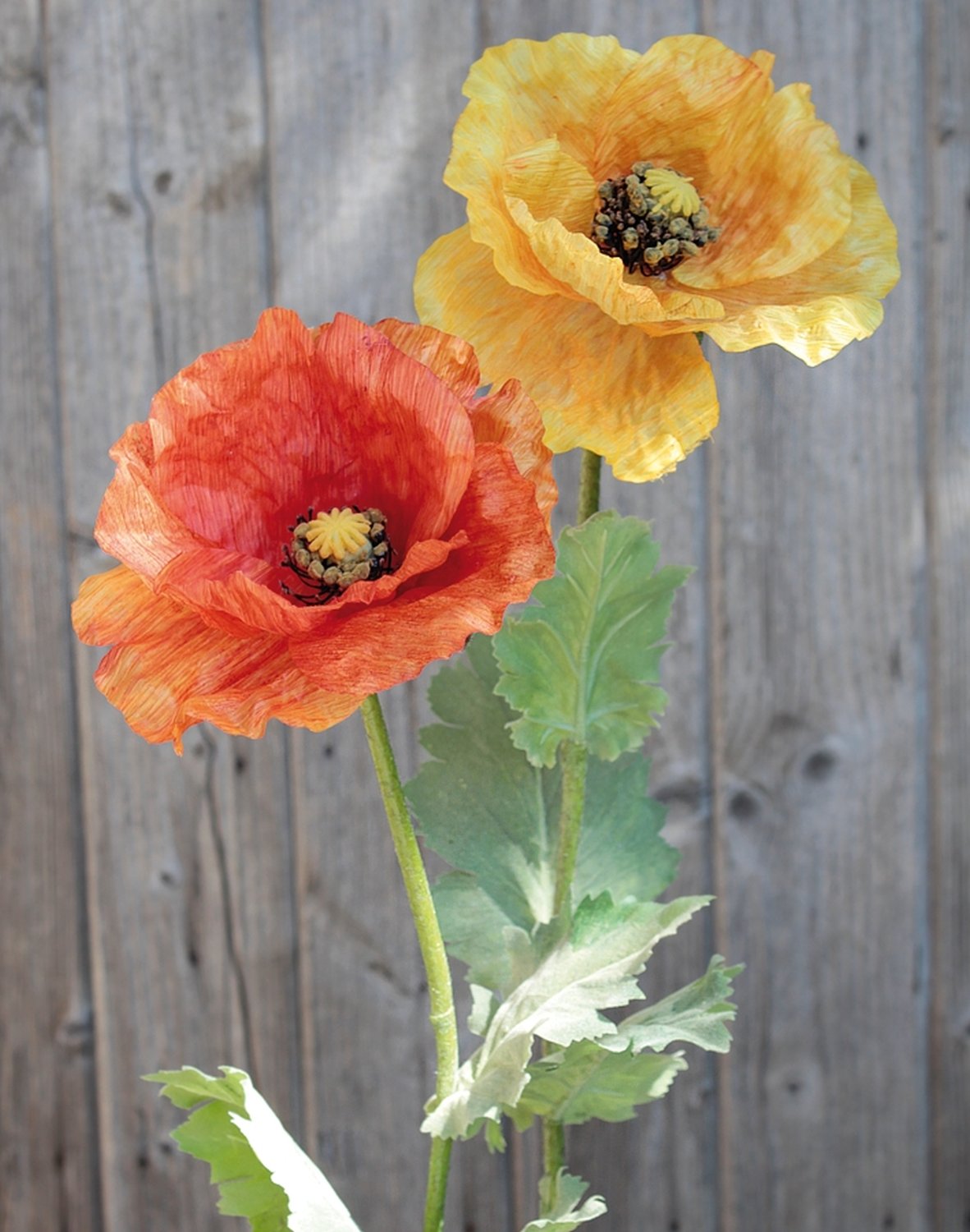 4557 334 a3 Шелковый мак, 80 см, оранжевый H-andreas  - Вид №1