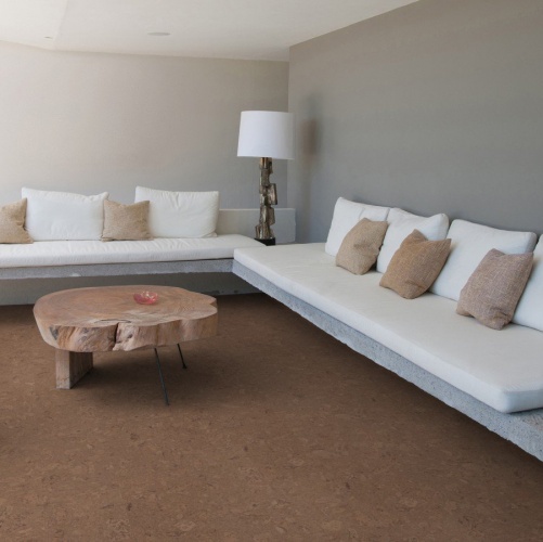 Пробка Wicanders Personality Tea (Гладкая) 600х300 мм P910003 - Вид №3