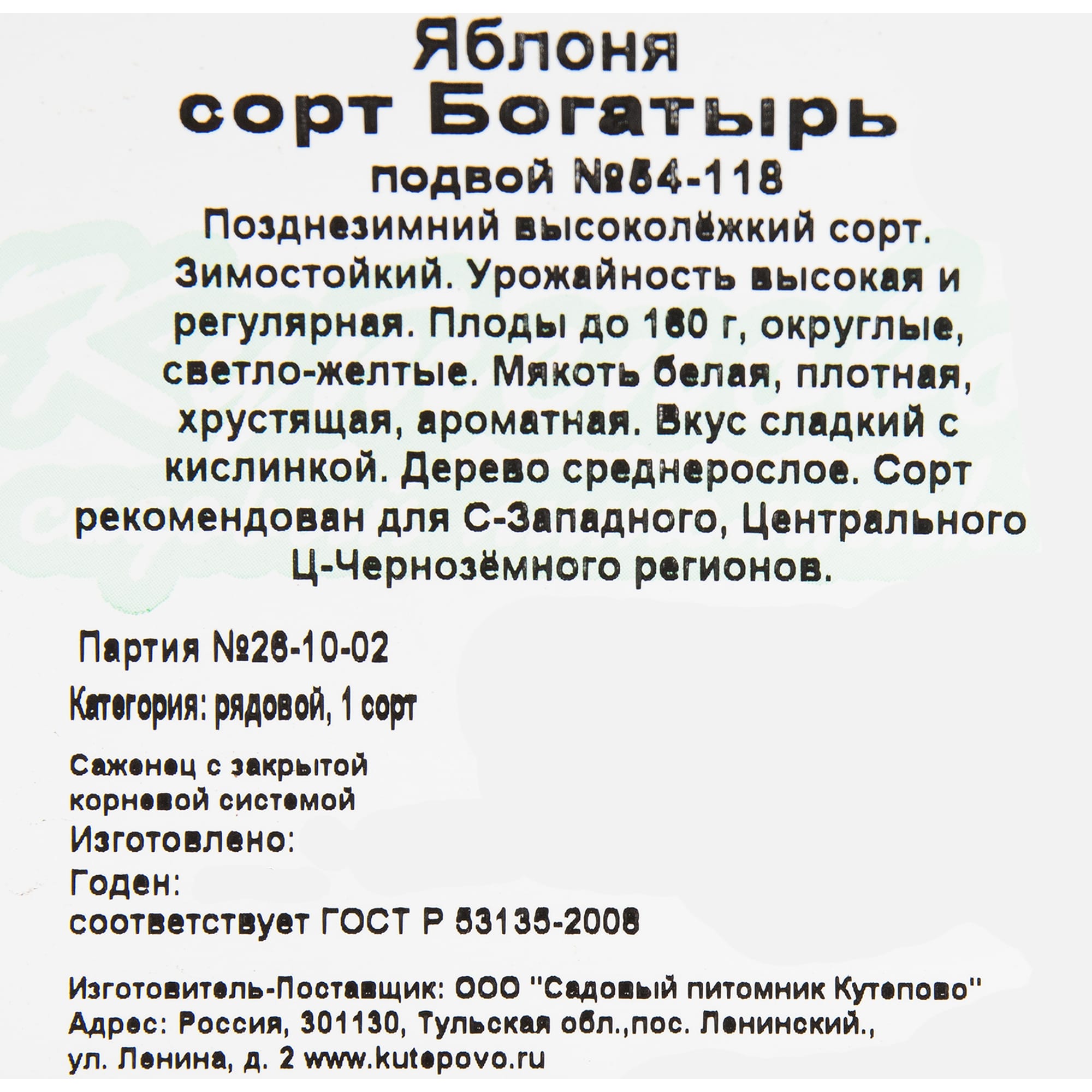 82597156 Яблоня «Богатырь» C4 высота 140 см Santreyd  - Вид №1