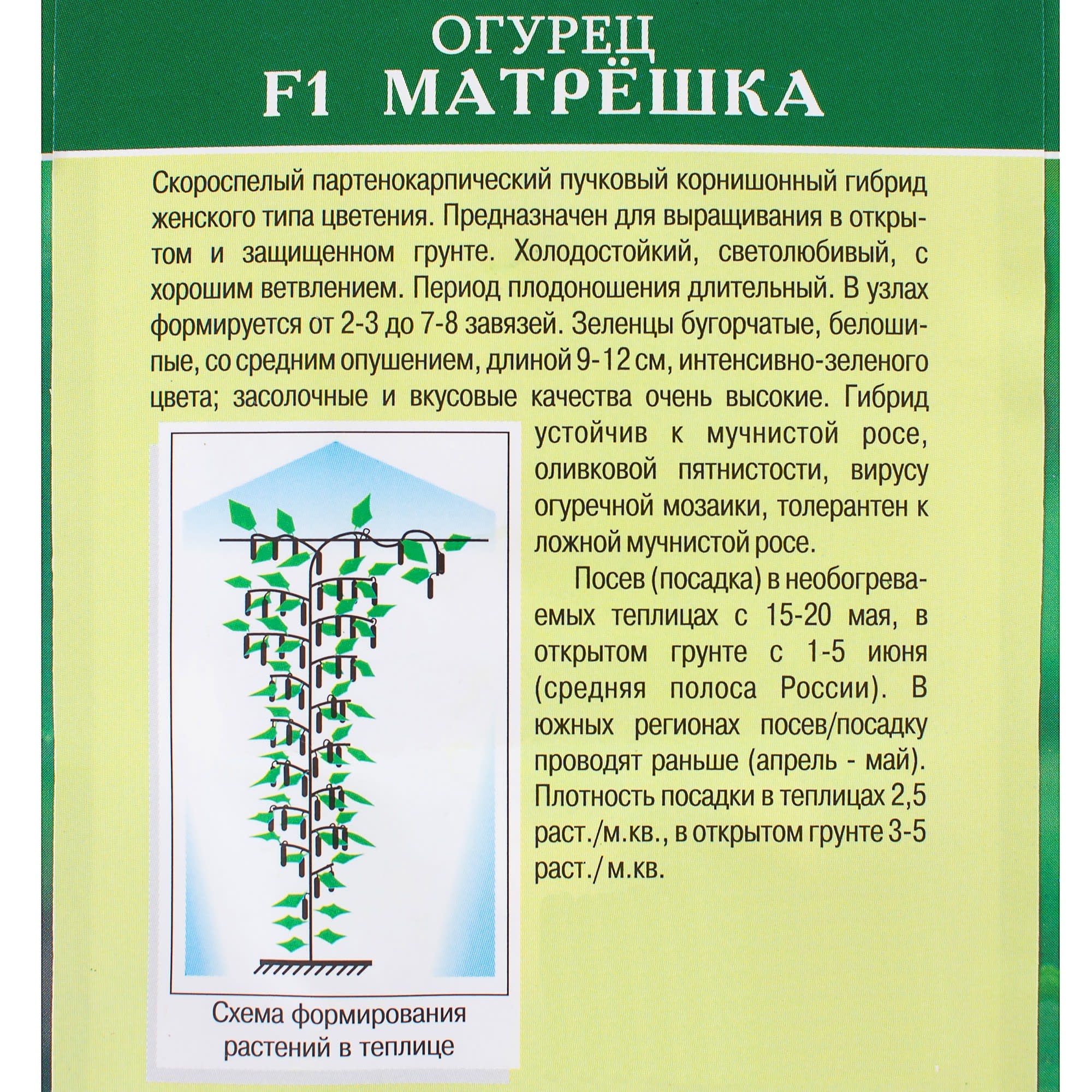 81932519 Семена Огурец «Матрёшка» F1 Santreyd  - Вид №2