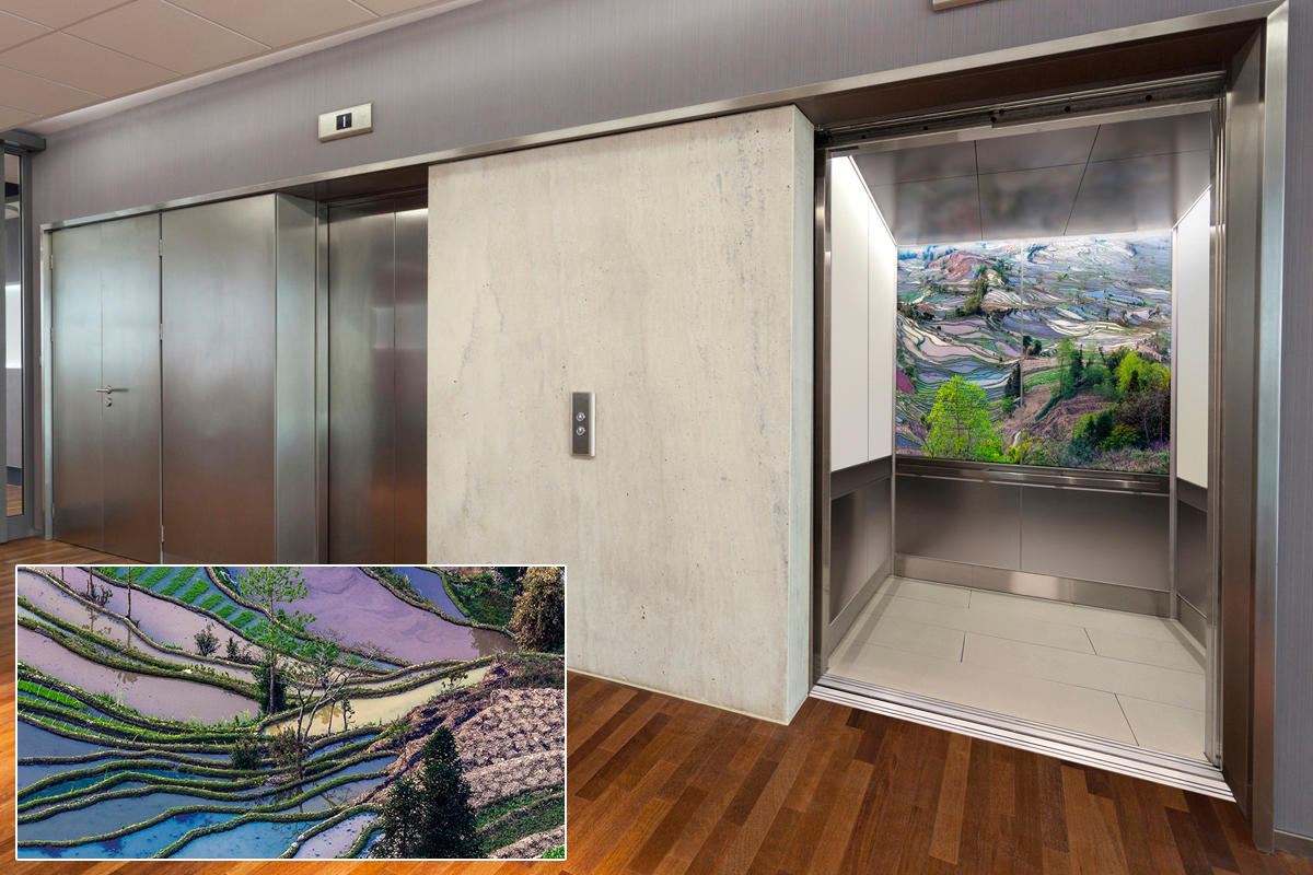 FSRT382 Зум-стекло Vivispectra с прослойкой dracanea fragans Forms-surfaces  - Вид №19