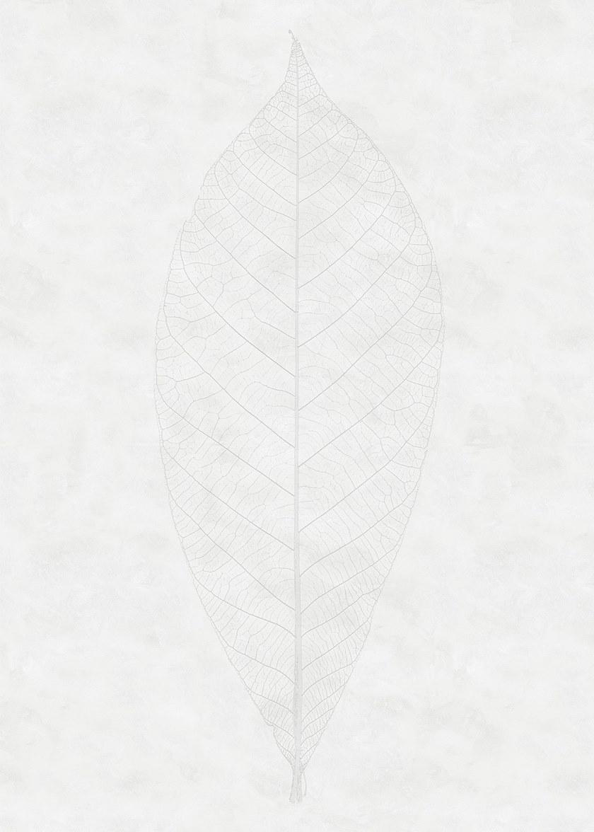 Komar Флизелиновые обои с цветочными мотивами Heritage R2-012 - Вид №1