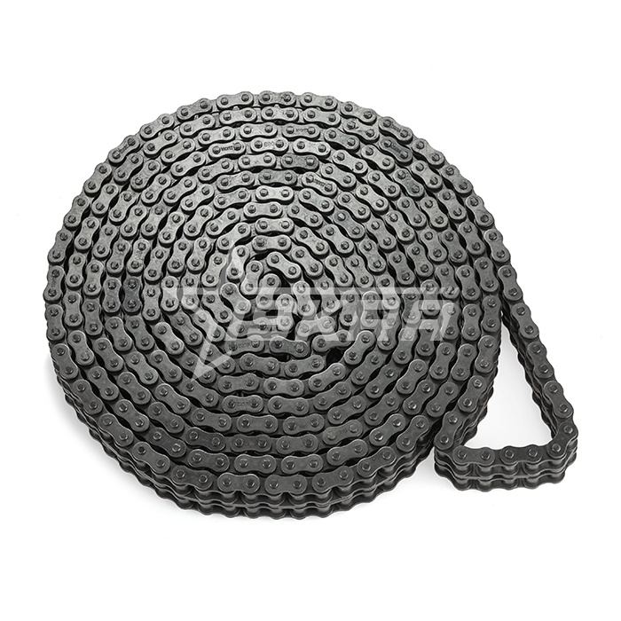 IS4397 Цепь приводная роликовая двухрядная 10B-2 ISKRA  - Вид №3