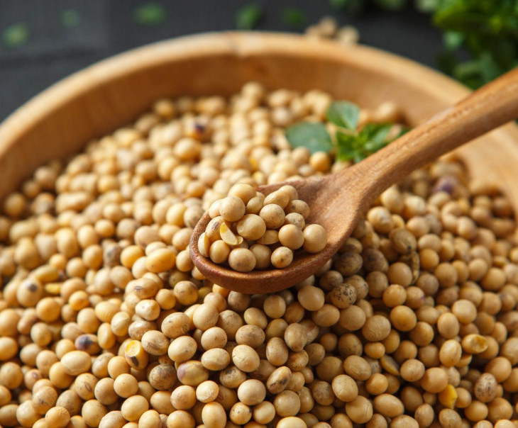 9728 Соевые бобы Вкусляндия  - Вид №1