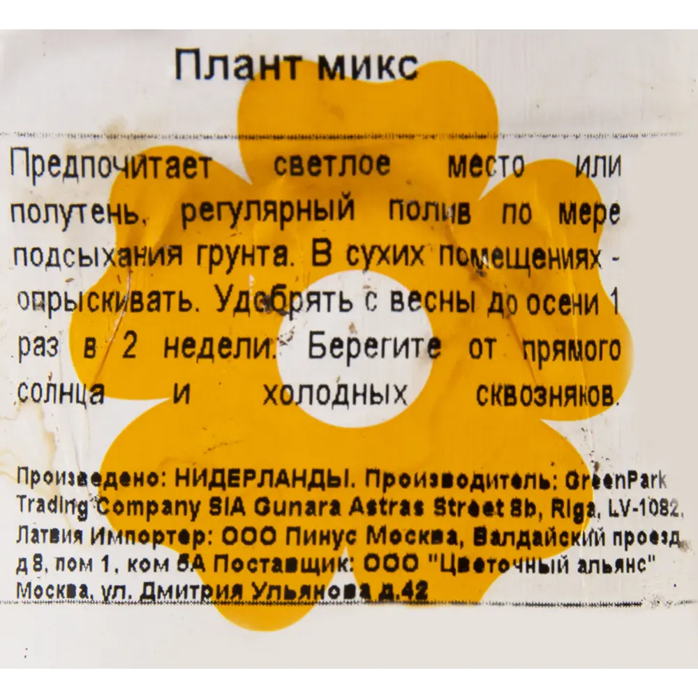 Santreyd Плант микс - декоративное растение для дома и офиса 14750574 STLM-0005094 - Вид №2