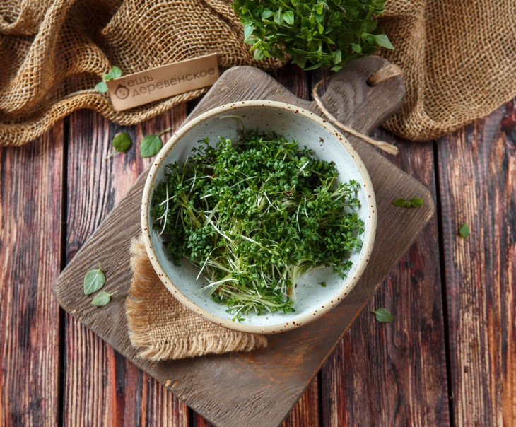 5503 Микрозелень кресс-салат Вкусляндия 