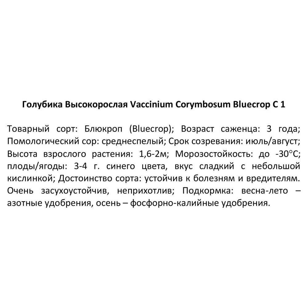 Голубика высокорослая Блюкроп ø24 h50 см 84644007 STLM-2002195 Santreyd  - Вид №2