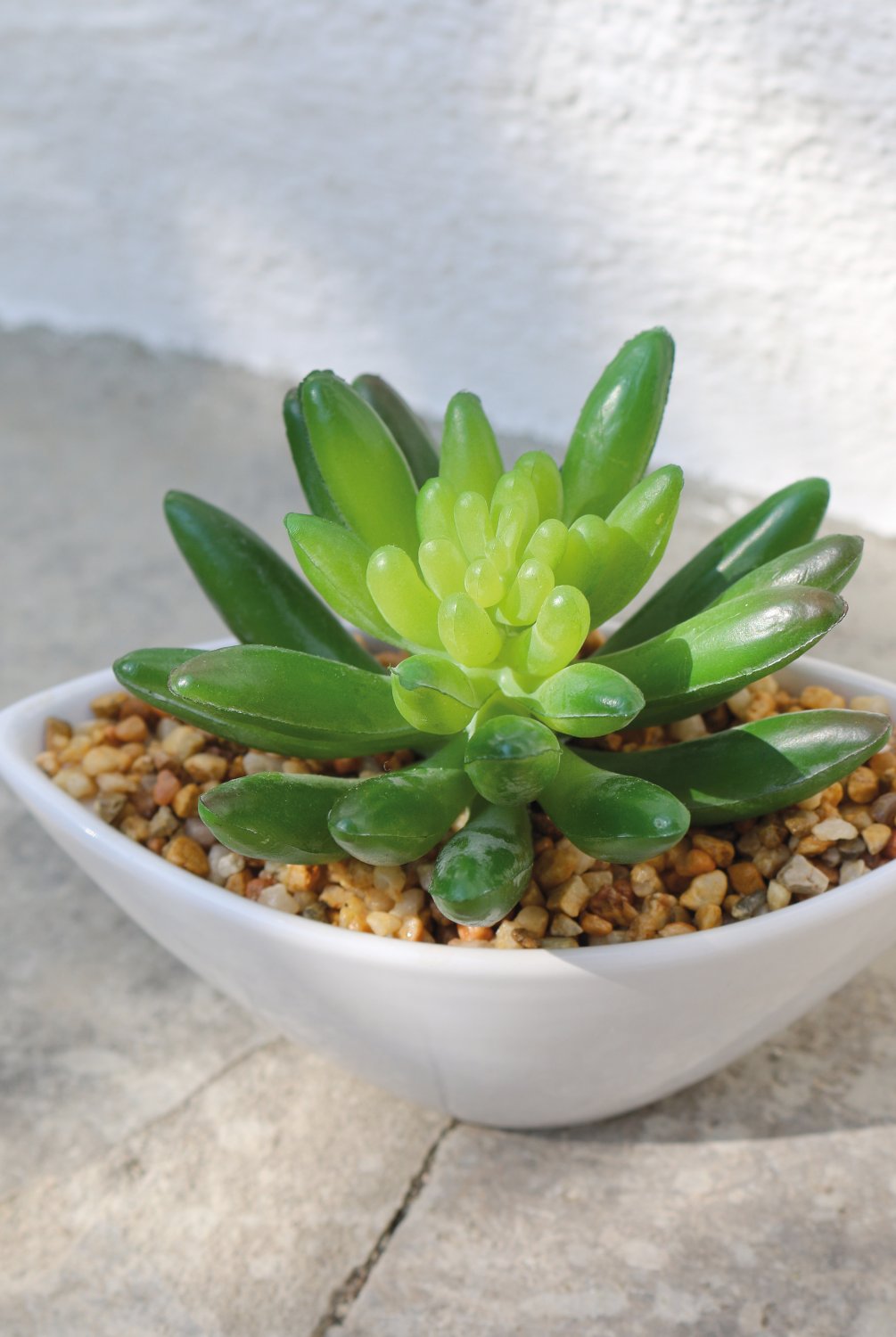 6334 883 a3 Очиток искусственный в керамическом горшке, 9см, зеленый H-andreas  - Вид №2