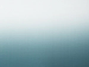 Dedar Моющаяся огнестойкая ткань trevira® cs  T17050