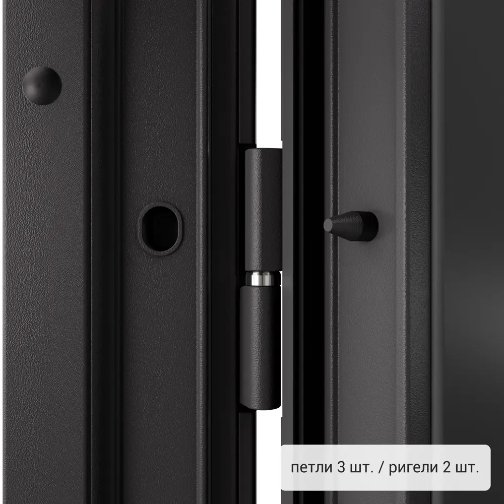 Дверь входная металлическая Фолд Рид 950 мм правая TOREX STLM-2078140 - Вид №3