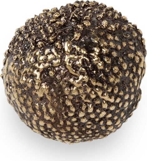 EA1019 Maple PULLCAST Earth Collection 