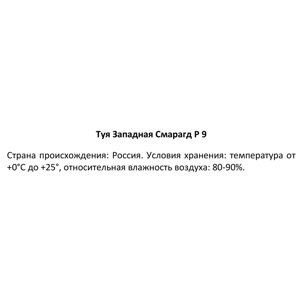 Туя западная Смарагд ø9 h40 см 89365008 STLM-2177947 Santreyd  - Вид №3