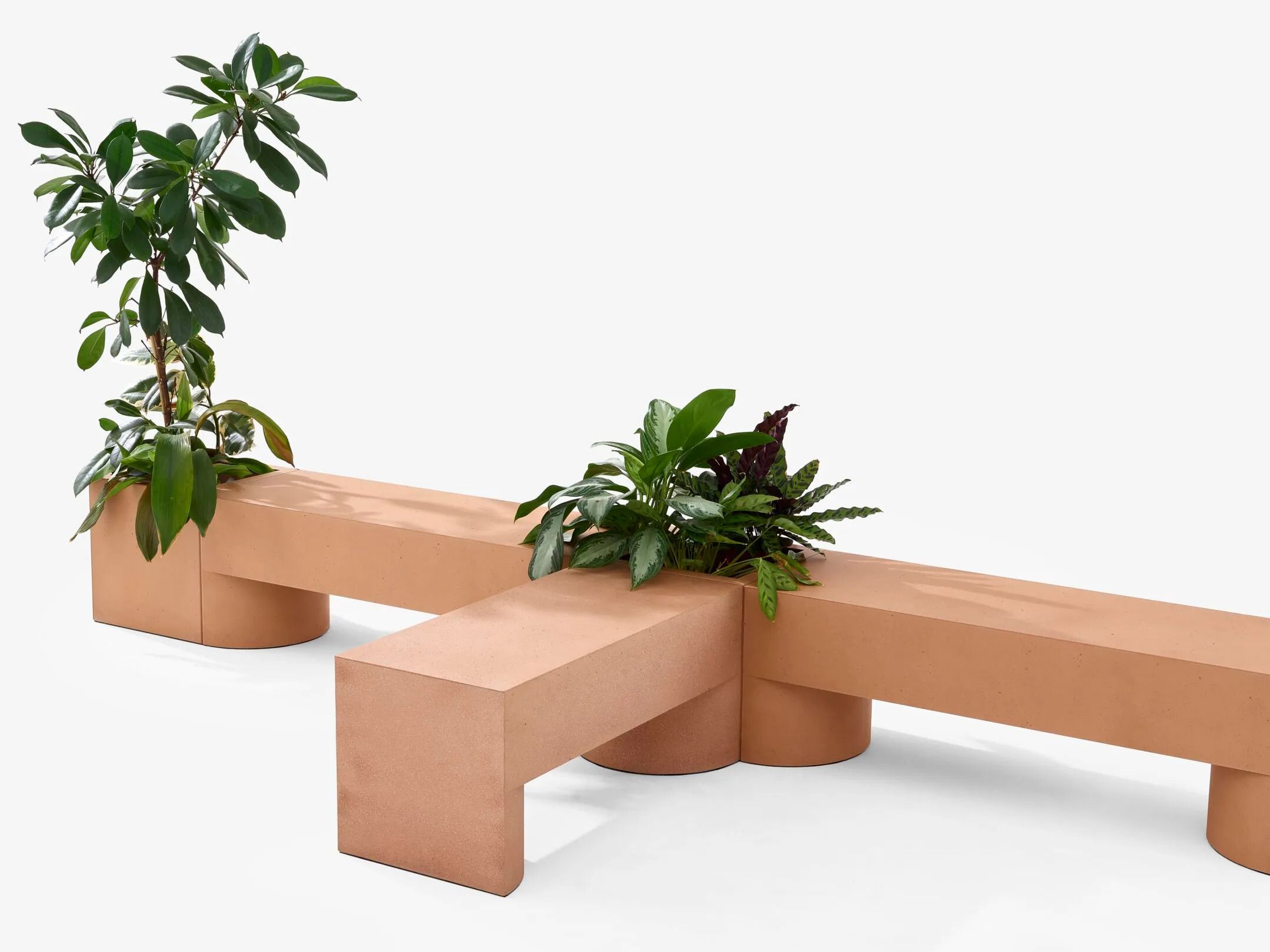 Модульная садовая скамейка Cimento® Campiello ARCH-00057091 - Вид №5