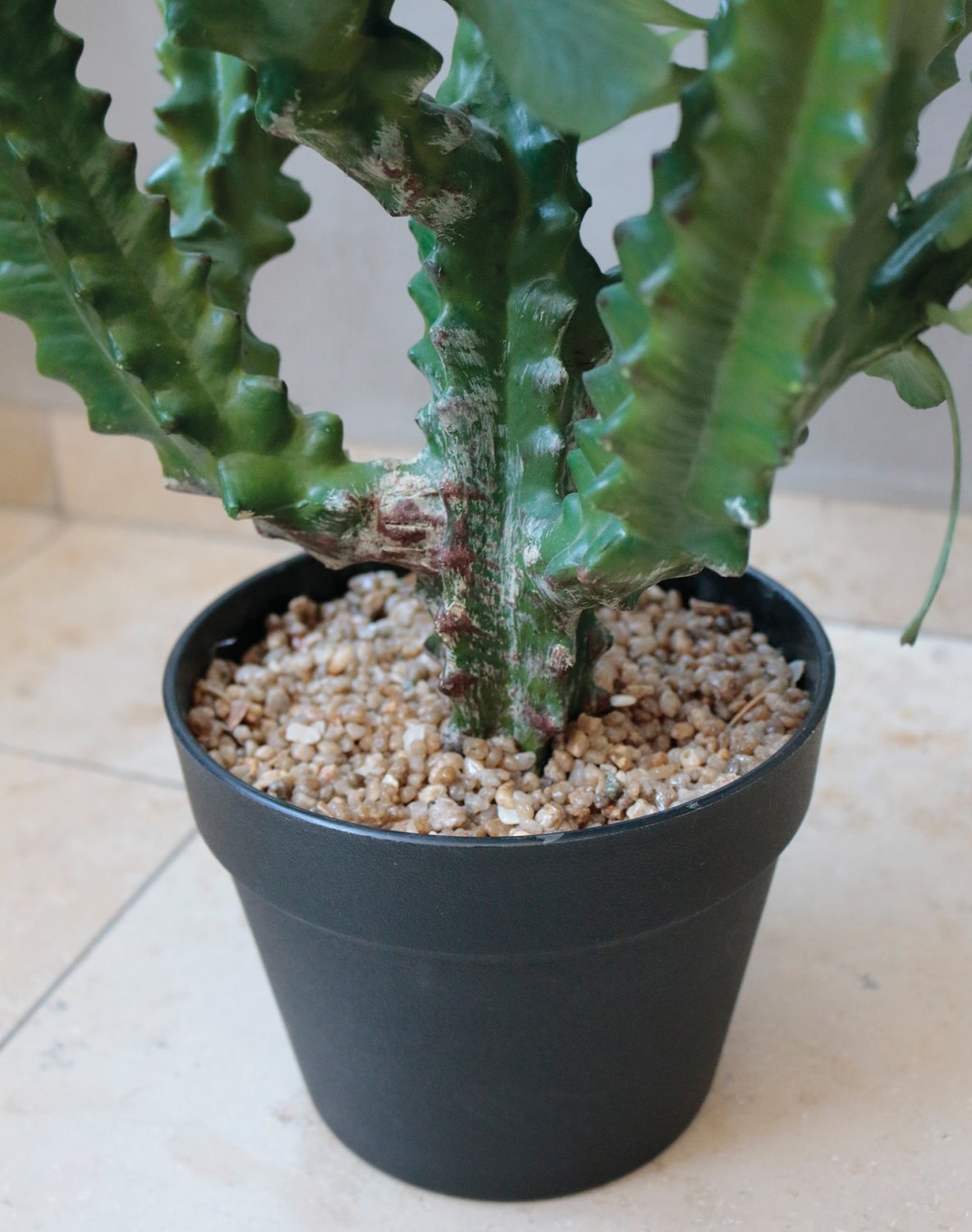 6148 883 a3 Молочай искусственный тригона, горшечный, 88 см, зеленый H-andreas  - Вид №10