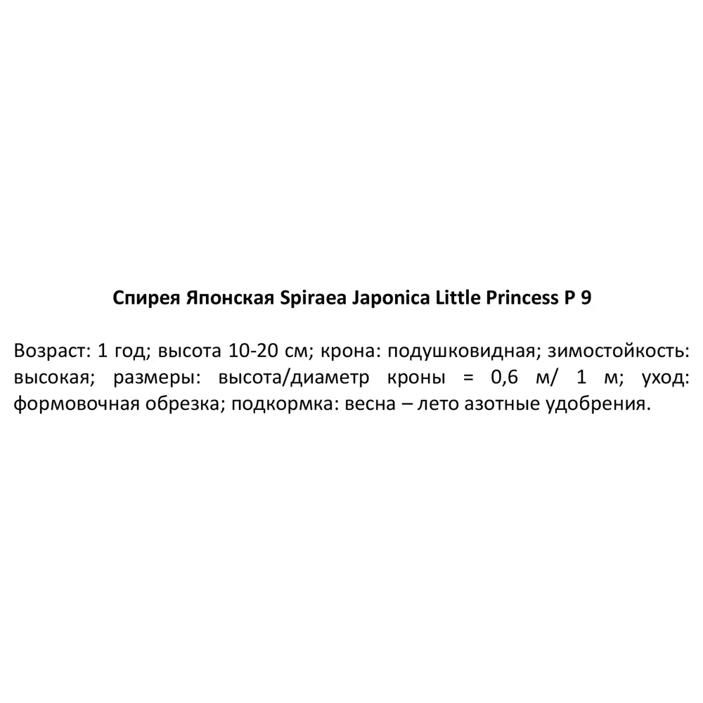 Спирея японская Литл Принцес ø9 h15 см PLANTMARKET STLM-2102060 - Вид №2