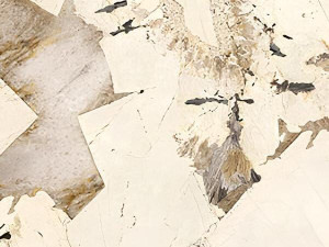 Пол / керамогранит с мраморным эффектом